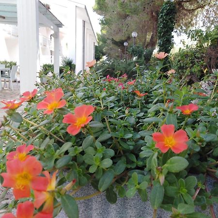 Raggio Di Sole Aparthotel Alberobello Exterior foto